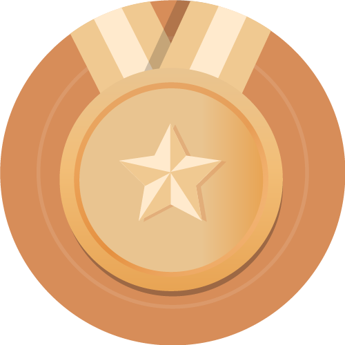 bronze-badge